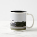 Pesquisar por alcatrão canecas Fotografia
