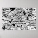 Pesquisar por rachaduras pôsteres pósteres Textura