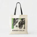 Pesquisar por border collie Animais