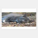 Pesquisar por bronzeado adesivos Qualquer pessoa