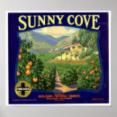 Pesquisar por brand pósteres Para todos