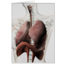 Pesquisar por corpo humano cartoes postais Traqueia