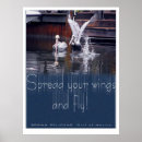 Pesquisar por pelicanos pósteres Aves