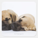 Pesquisar por great dane adesivos Horizontal