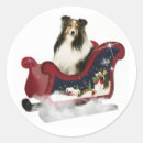 Pesquisar por sheltie adesivos Animais de companhia