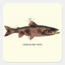 Pesquisar por trout adesivos Pesca com mosca