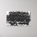 Pesquisar por oficial impressão de canvas Lanterna