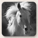 Pesquisar por retratos porta copos Fotografia