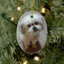 Pesquisar por shitzu ornamentos Cão