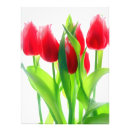 Pesquisar por vermelho da tulipa pôsteres pósteres Branco