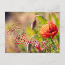 Pesquisar por gute cartoes Blumen