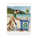 Pesquisar por para reciclagem imas Terra