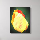 Pesquisar por tulipa amarela impressão de canvas Para ela