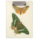 Pesquisar por pintura da borboleta Natureza