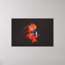 Pesquisar por peixes tropicais impressão de canvas Laranja