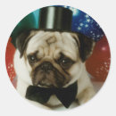 Pesquisar por tophat Cão