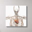 Pesquisar por complexidade impressão de canvas Fundo branco