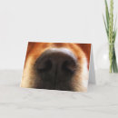 Pesquisar por dog fathers day cartoes Retriever