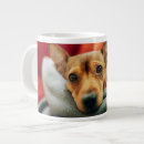 Pesquisar por miniatura pinscher canecas Animal