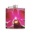 Pesquisar por orquídea cantis Flor