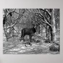 Pesquisar por fanfarrão Inverno