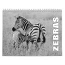 Pesquisar por zebra calendarios Natureza