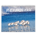 Pesquisar por observadores calendarios Natureza