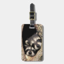 Pesquisar por peludo bagagem tags Fofo