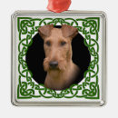 Pesquisar por irlandês ornamentos Para todos