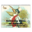 Pesquisar por galo calendarios Animal