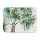 Pesquisar por elementos naturais imas Folhas