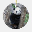 Pesquisar por panda ornamentos Animal