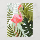Pesquisar por floresta tropical cartoes postais Flamingo