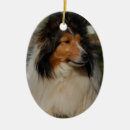 Pesquisar por collie diminuto Cão