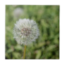 Pesquisar por azulejo da grama azulejos Verde