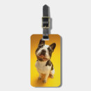 Pesquisar por cachorros bagagem tags Amarelo