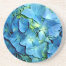 Pesquisar por hydrangea porta copos Hidrangeas