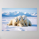 Pesquisar por fauna pósteres Urso polar