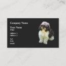 Pesquisar por shih tzu cartao de visita Animal