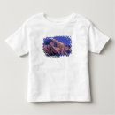 Pesquisar por intacto camisetas Cume