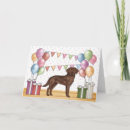 Pesquisar por chocolate labrador retriever cartoes Fofo