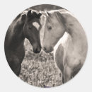 Pesquisar por casal do cavalo adesivos Cavalos