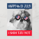 Pesquisar por shitzu cartoes postais Cão