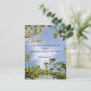 Pesquisar por novo testamento cartoes postais Escritura