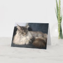 Pesquisar por casulo cartoes Animal