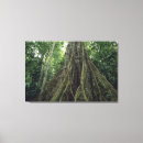 Pesquisar por crescimento impressão de canvas Tropical