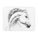 Pesquisar por cabeça do cavalo cartoes Animais