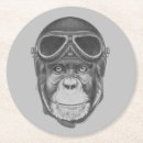 Pesquisar por capacete porta copos Bonito