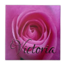 Pesquisar por com caixa de azulejos Rosa