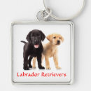 Pesquisar por retriever chaveiros Cachorro